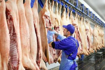 Казахстан разрешил свиноводческую продукцию из 33 регионов РФ